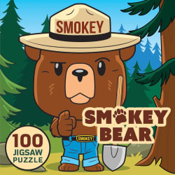 Smokey Bear Pop Culture Cartoon