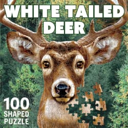 White Tail Deer Forest Animal