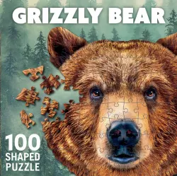 Grizzly Bear Bear