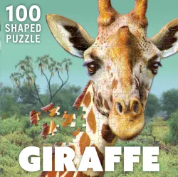 Giraffe Animals