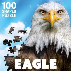 Eagle Birds