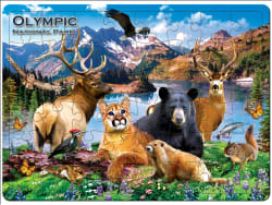 Olympic National Park 48 Piece Tray Puzzle Animals