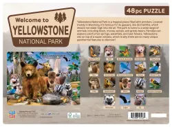 Yellowstone National Park Animals