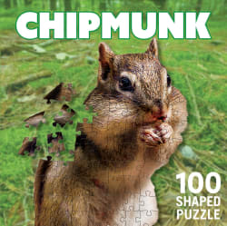 Chipmunk Animals