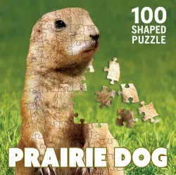 Prairie Dog Animals