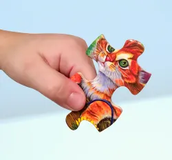 Forest Friends Forest Animal