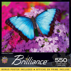 Iridescence Butterflies and Insects