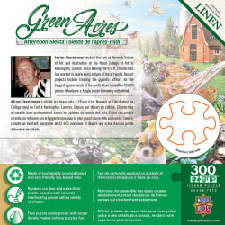 Afternoon Siesta Cats