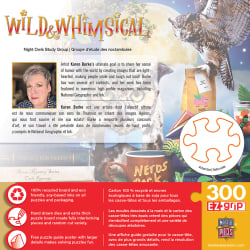 Night Owls Study Group Birds