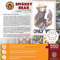 Smokey Bear Bear