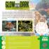 Stalking Tiger Big Cats Glow in the Dark Puzzle