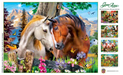 Mountain Meadow Farm Farm