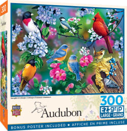 Audubon Songbird Collage Birds