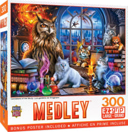 Medley - Caretakers of the Study - Scratch and Dent Fantasy