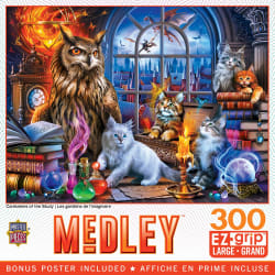 Medley - Caretakers of the Study - Scratch and Dent Fantasy