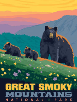 Puzzle Pod - Great Smoky Mountains Animals