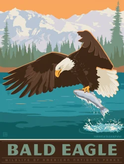 Puzzle Pod - Bald Eagle Birds