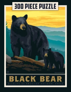 Puzzle Pod - Black Bear Bear