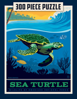 Puzzle Pod - Sea Turtle Reptile & Amphibian