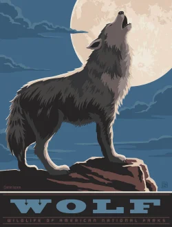 Puzzle Pod - Wolf Wolf