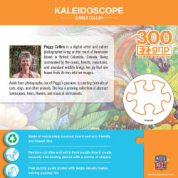 Kaleidoscope - Summer Stallion Horse