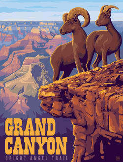 Puzzle Pod - Grand Canyon Animals
