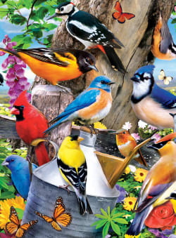 3 Pack - Audubon  Birds