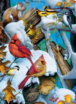 3 Pack - Audubon  Birds