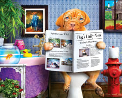 12 Pack - Wild & Whimscial Bundle - Scratch and Dent Animals