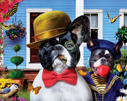 12 Pack - Wild & Whimscial Bundle - Scratch and Dent Animals