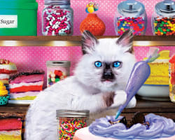 12 Pack - Wild & Whimscial Bundle - Scratch and Dent Animals