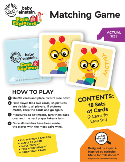 Baby Einstein Matching Game
