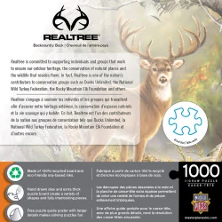 Backcountry Buck - Scratch and Dent Forest Animal