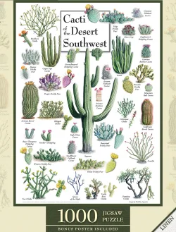 Cacti of the Desert Southwest Flower & Garden