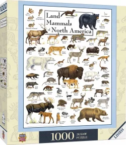 Land Mammals of North America Animals