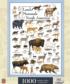 Land Mammals of North America Animals Jigsaw Puzzle