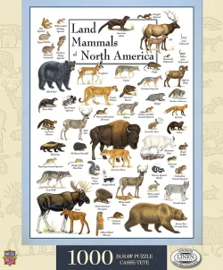 Land Mammals of North America Animals