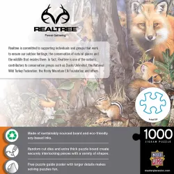 Forest Gathering Animals