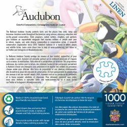 Colorful Companions Birds