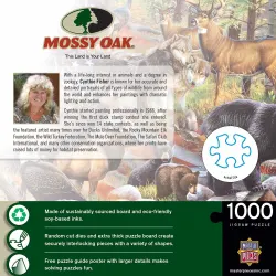 This Land is Your Land