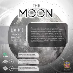 The Moon Space