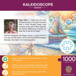 Kaleidoscope - Beach Day - Scratch and Dent Beach & Ocean