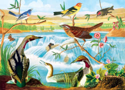 Audubon - Harmony of Birds and Stream Birds