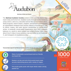 Audubon - Harmony of Birds and Stream Birds