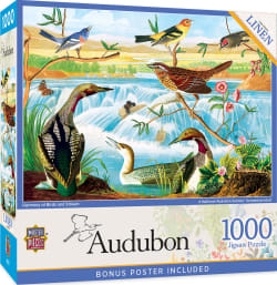 Audubon - Harmony of Birds and Stream Birds