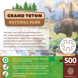 Grand Teton Forest Animal