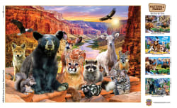 Grand Canyon Forest Animal