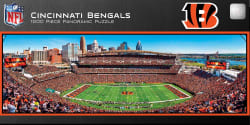 Cincinnati Bengals NFL Stadium Panoramics Center View Sports