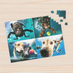 Underwater Dogs:  Splash Dogs