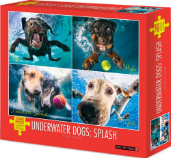Underwater Dogs:  Splash Dogs
